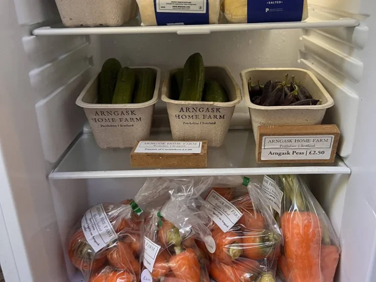 2025-01-10_11-26-34_1736508409