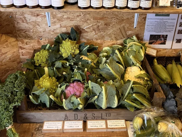 2025-01-10_11-27-50_1736508499