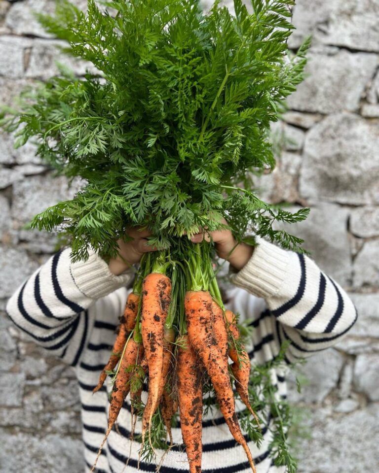 IG_3.2.2025_67c4eaa2c50db6.59005694